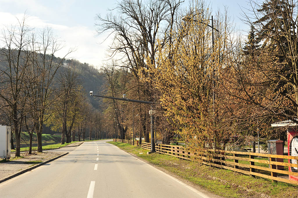 Foto: Ivan Radojević