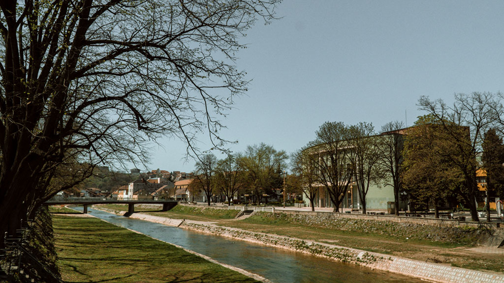 Foto: Vasilije Ristović