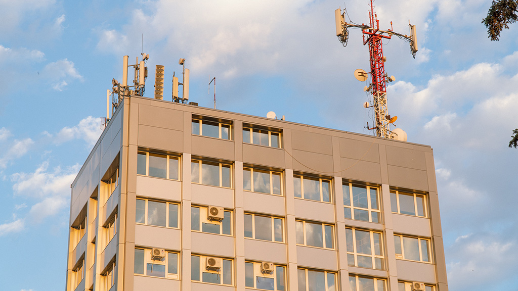 Foto: Vasilije Ristović