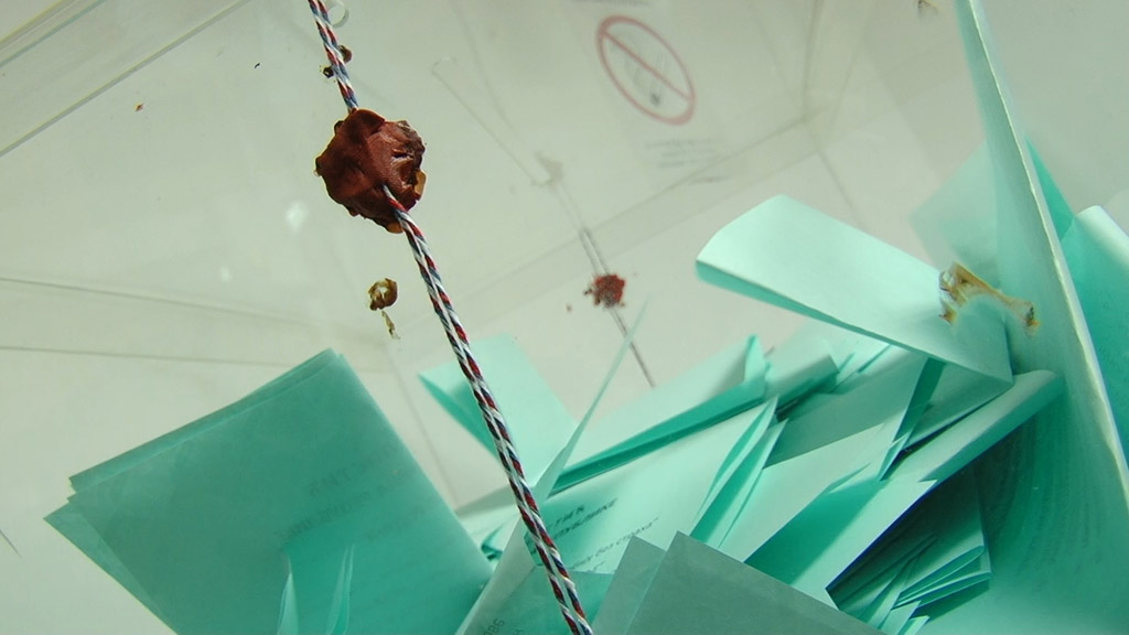 Foto: PrtScr Televizija Valjevo Plus