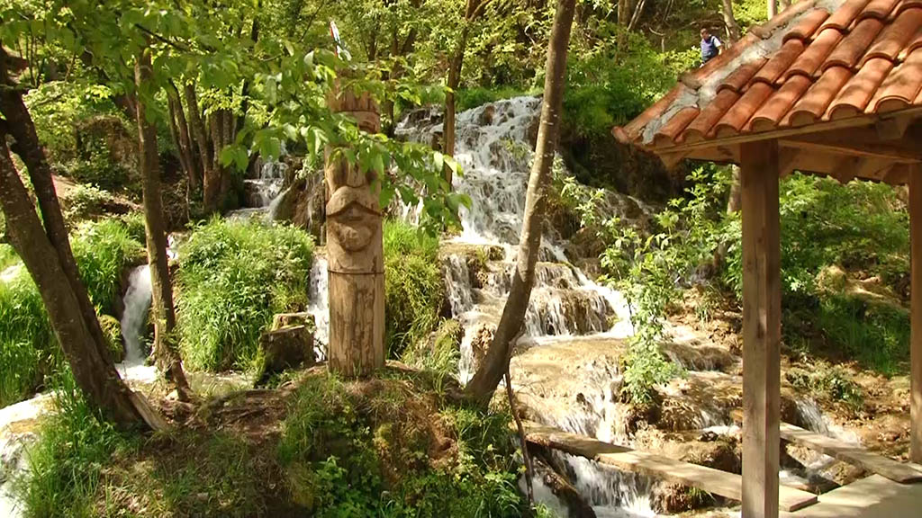 Foto: PrtScr Televizija Valjevo Plus