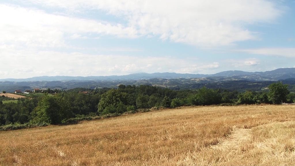 Foto: PrtScr Televizija Valjevo Plus