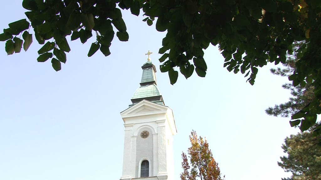 Foto: PrtScr Televizija Valjevo Plus