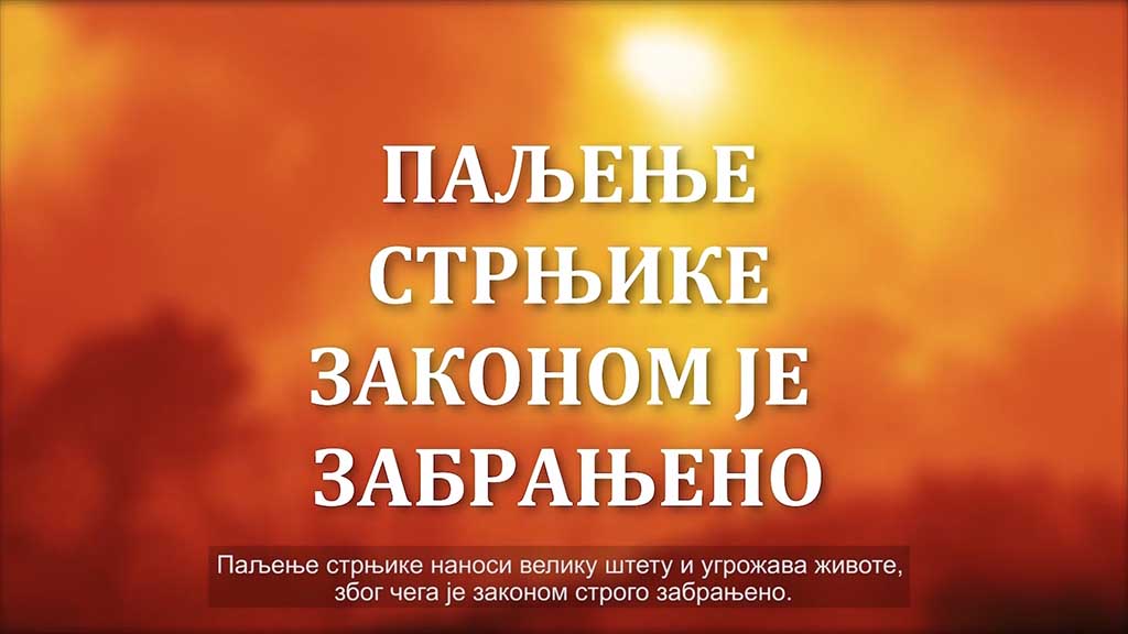 Foto: PrtScr Televizija Valjevo Plus