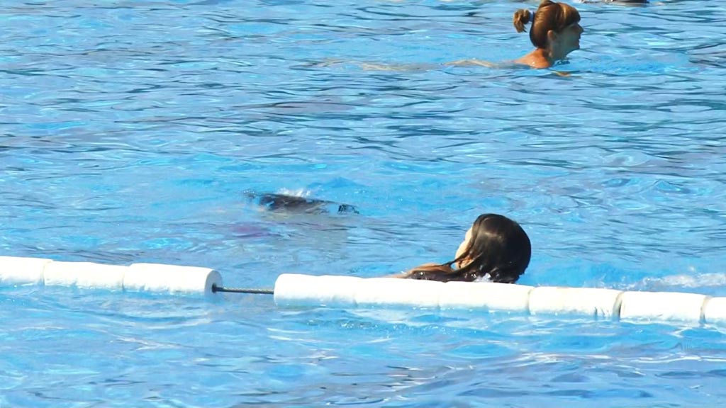 Foto: PrtScr Televizija Valjevo Plus