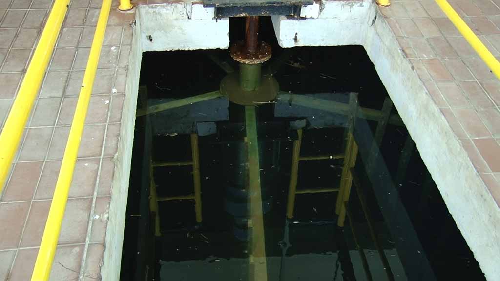 Foto: PrtScr Televizija Valjevo Plus