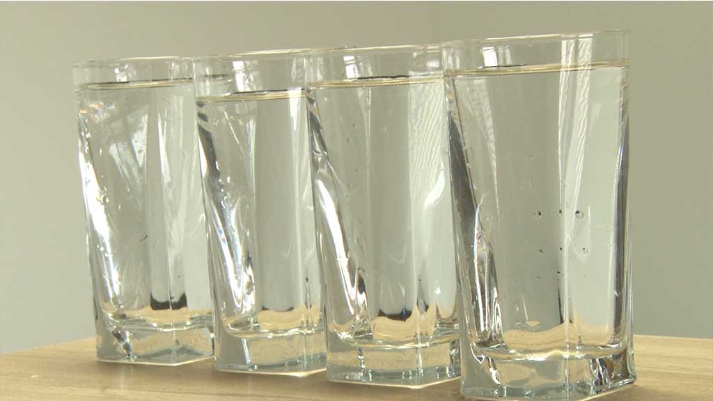 Foto: PrtScr Televizija Valjevo Plus