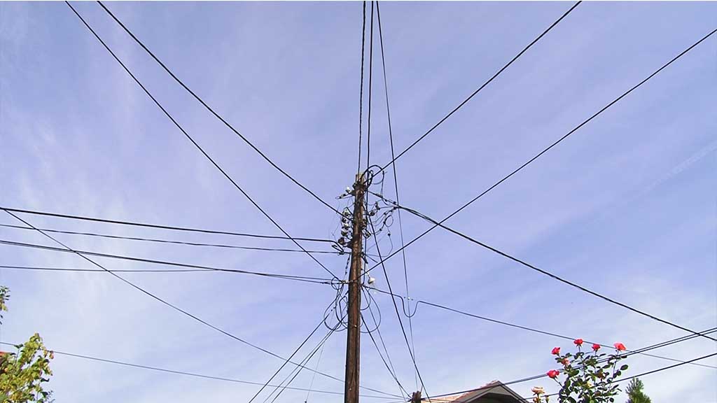 Foto: PrtScr Televizija Valjevo Plus