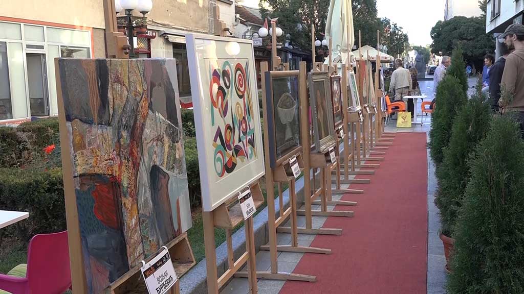 Foto: PrtScr Televizija Valjevo Plus