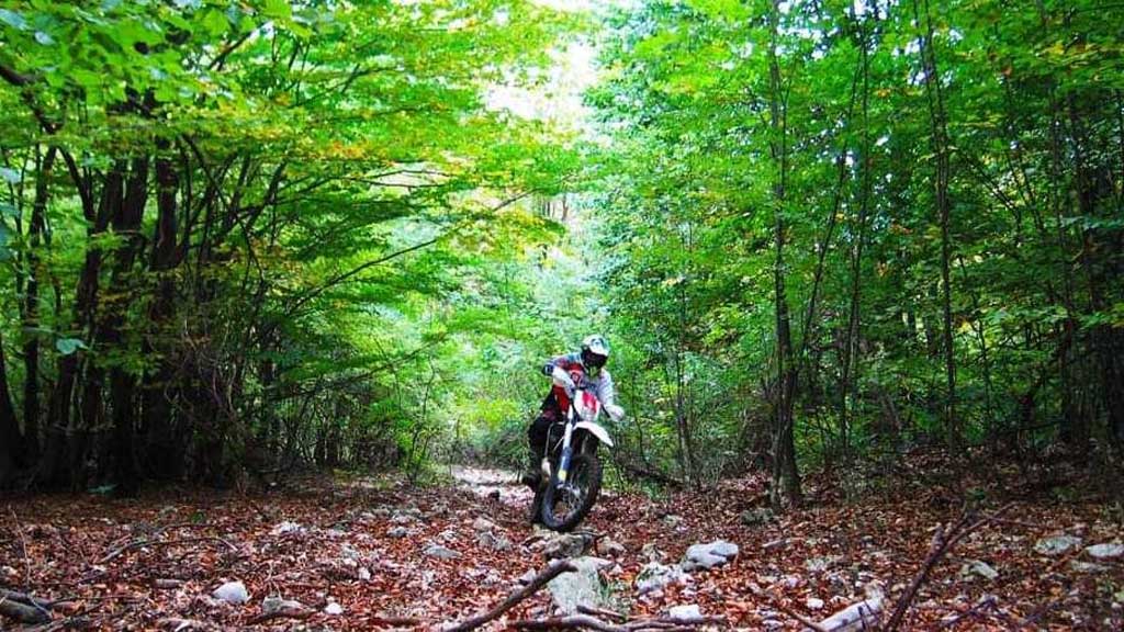 Foto: Privatna arhiva