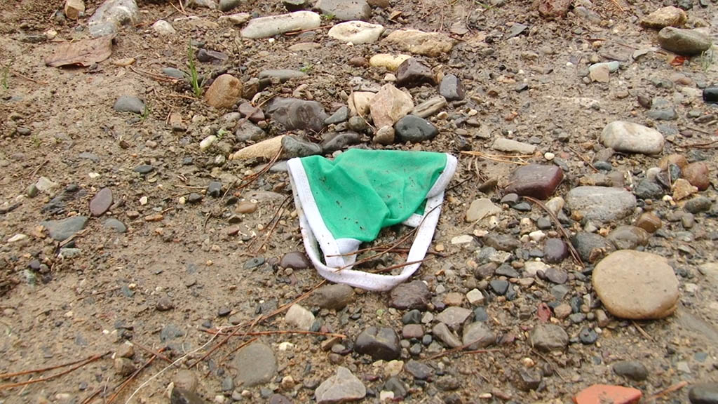 Foto: PrtScr Televizija Valjevo Plus