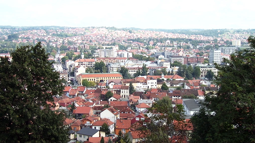 Foto: PrtScr Televizija Valjevo Plus