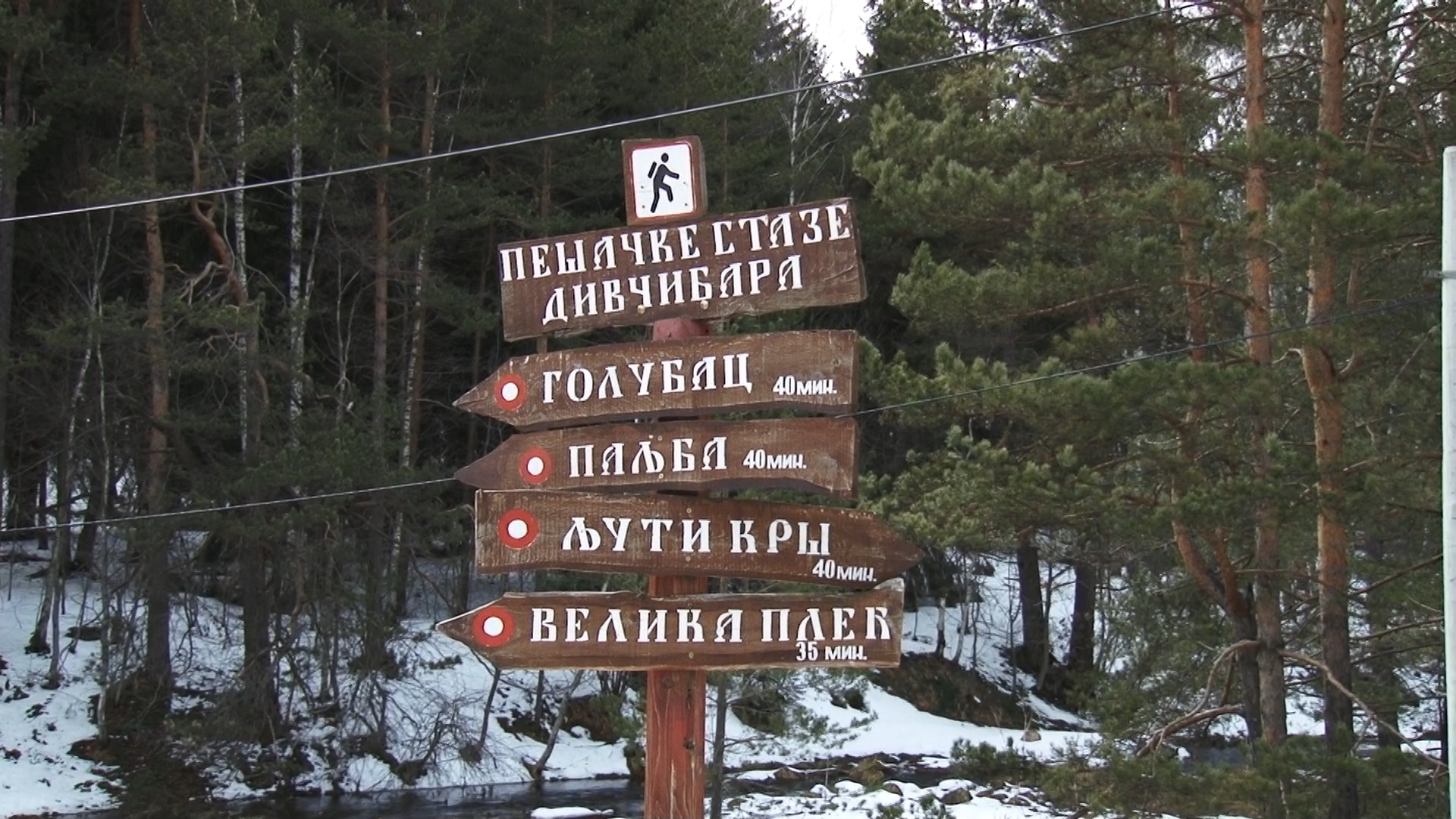 Foto: PrtScr - Televizija Valjevo Plus